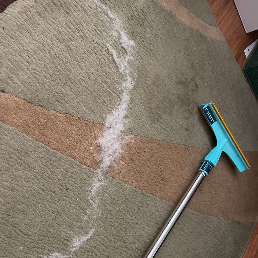 ORYVIO LintPro Xtra™ - Remova pelos incrustados em segundos